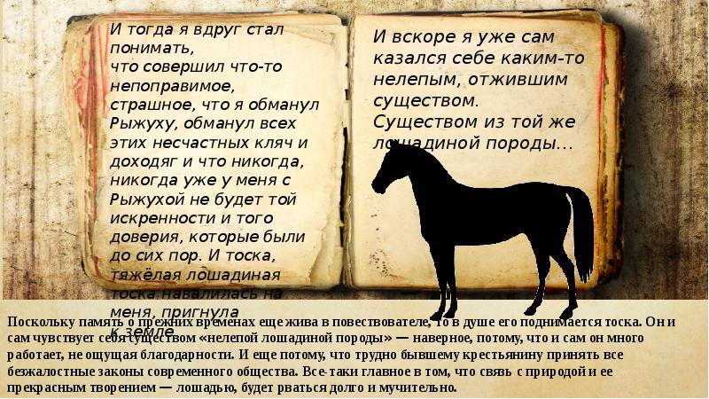 В чем рассказчик обманул рыжуху. Лошадиная тоска. Фёдор Александрович Абрамов о чём плачут лошади. Лошадь для презентации. О чем думают лошади литература.