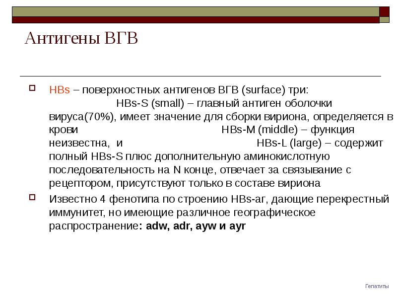 Вирус гепатита в микробиология презентация