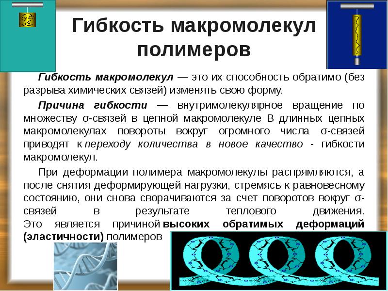 Гибкость макромолекул полимеров
Гибкость макромолекул — это их способность обратимо (без Гибкость макромолекул полимеров
Гибкость макромолекул — это их способность обратимо (без