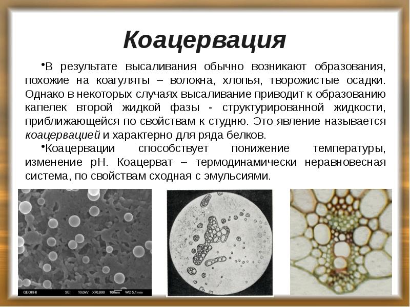 Коацервация
В результате высаливания обычно возникают образования, похожие на коагуляты – Коацервация
В результате высаливания обычно возникают образования, похожие на коагуляты –