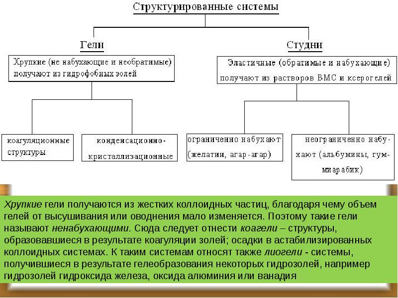 Презентация гели и студни