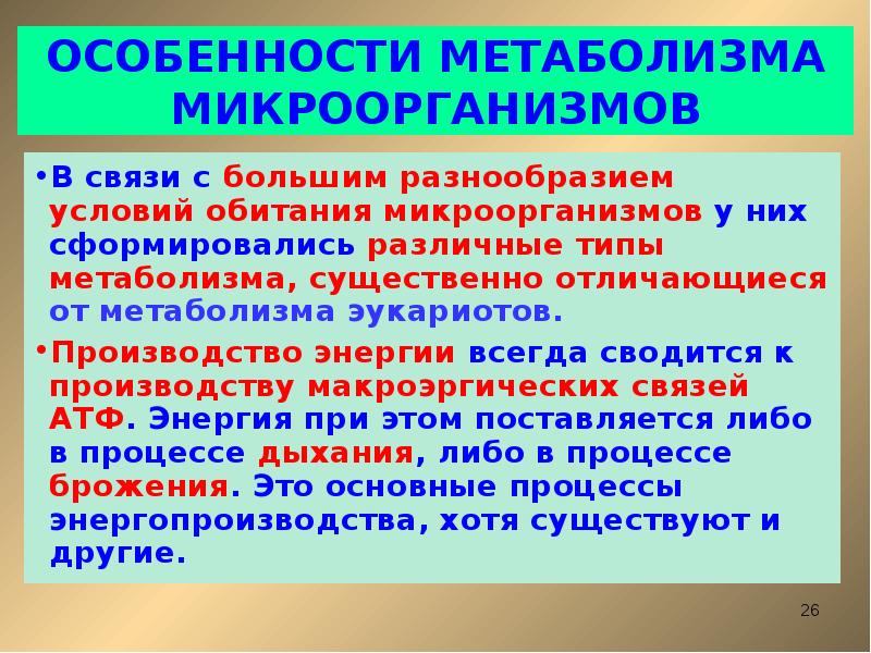 Обмен веществ у бактерий. Типы метаболизма микроорганизмов. Особенности метаболизма. Метаболизм микроорганизмов кратко. Особенности микробного метаболизма.