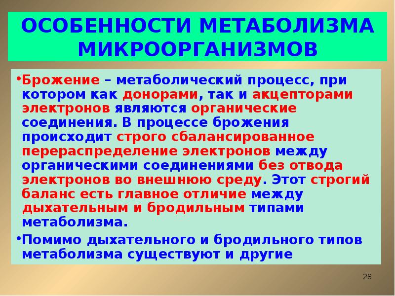 Особенности обмена веществ