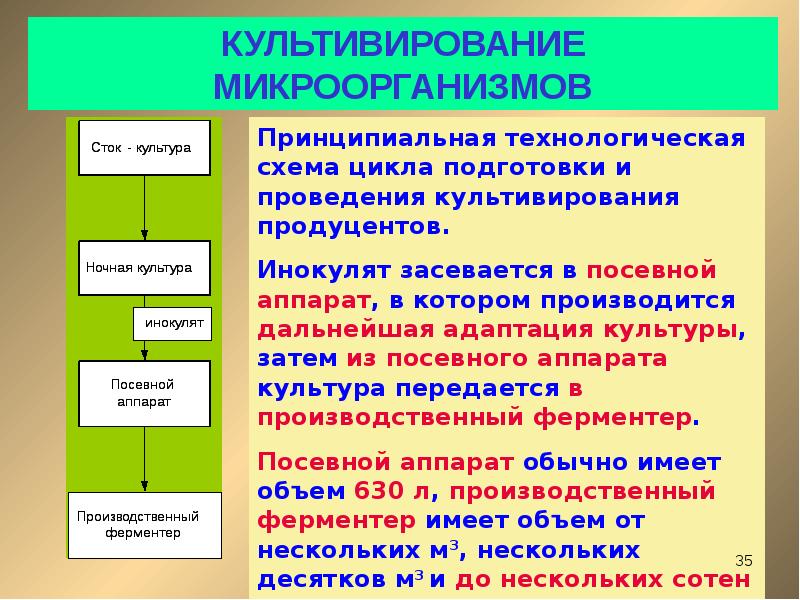 Культивирования микроорганизмов презентация