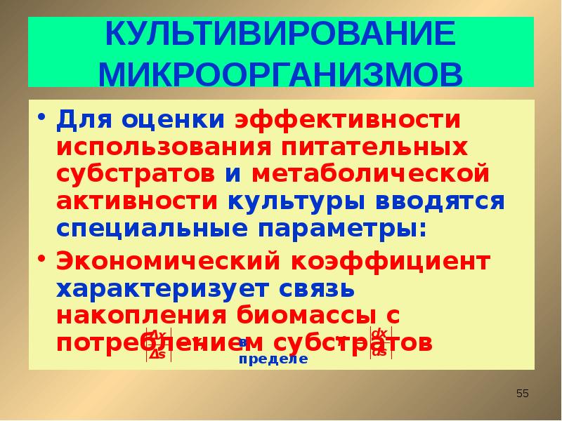 Культивирования микроорганизмов презентация