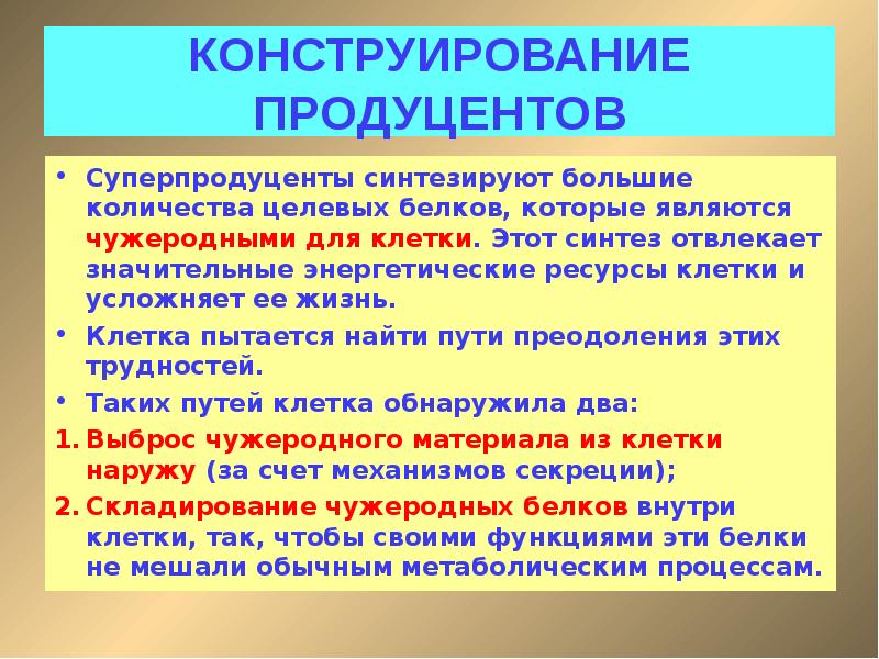 продуценты аминокислот