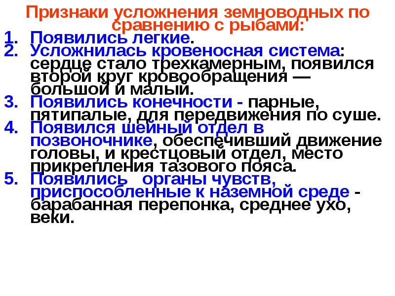 Усложнение строения земноводных по сравнению с рыбами