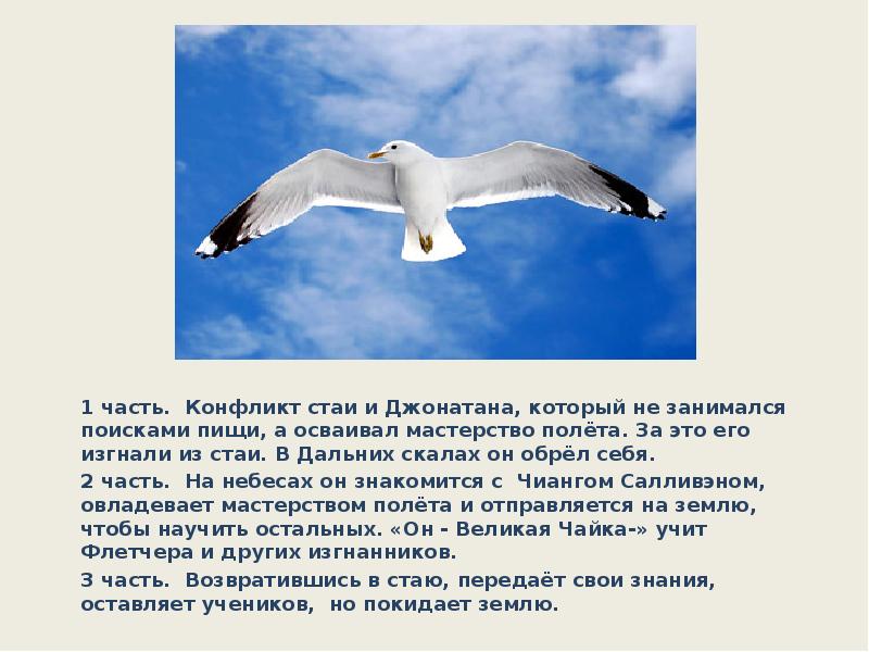 Композиция рассказа 1 часть. Конфликт стаи и Джонатана, который не занимался