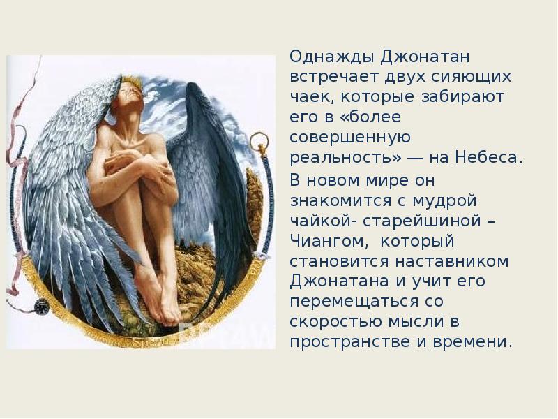 Однажды Джонатан встречает двух сияющих чаек, которые забирают его в «более