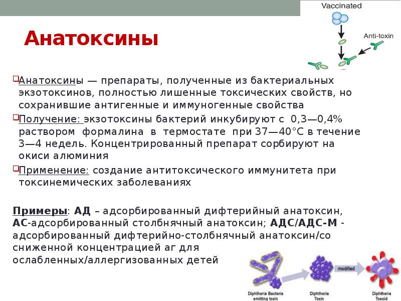 Пример токсина. Нативные анатоксины. Анатоксин, его свойства, получение, применение. Анатоксин содержит микробиология. Столбнячный анатоксин схема действия.