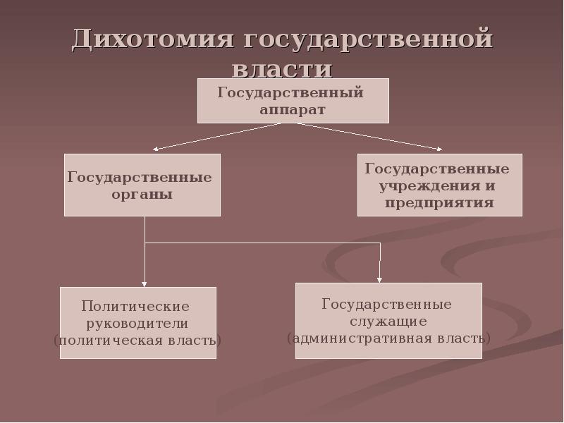 Проект государственная власть