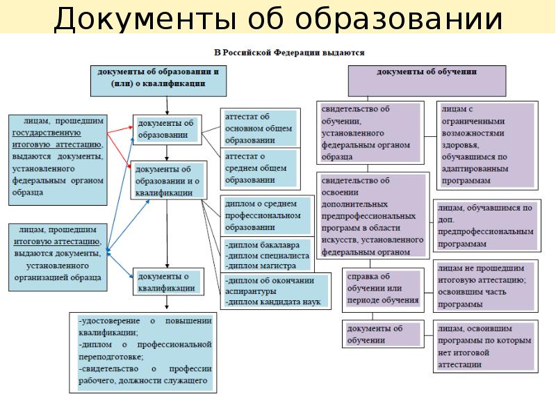 Презентация документы об образовании