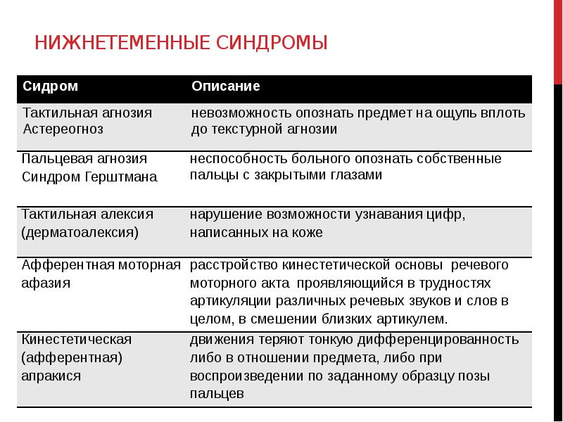 Основные понятия нейропсихологии презентация