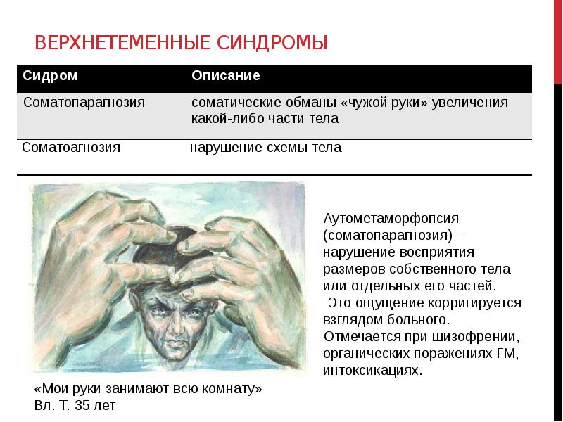 Основные понятия нейропсихологии презентация