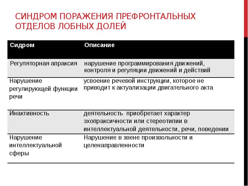 Основные понятия нейропсихологии презентация