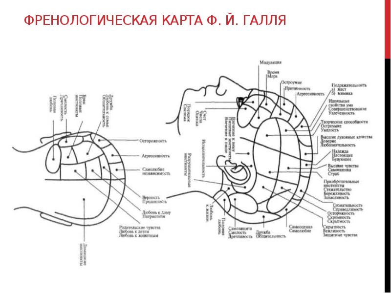 Френологическая карта галля