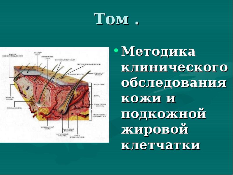 Схема обследования детей с заиканием волкова