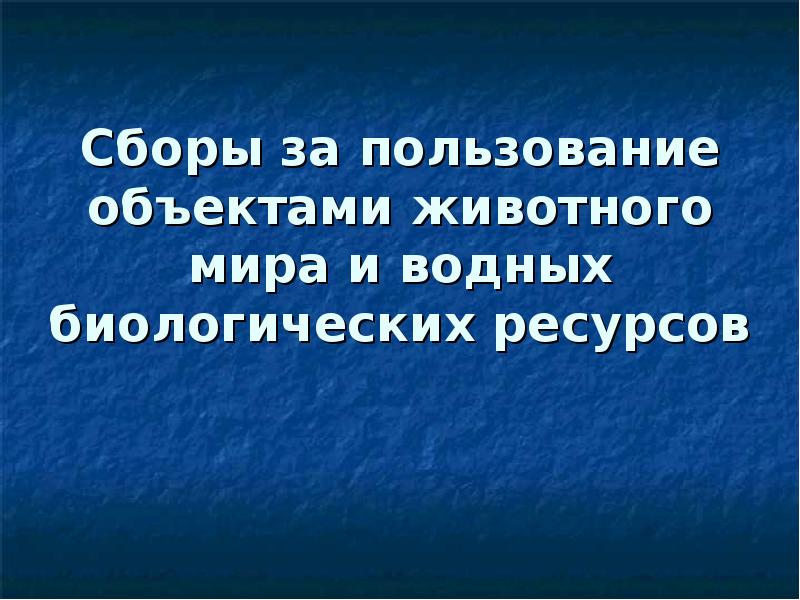 Сборы за пользование объектами животного мира и водных биологических ресурсов презентация