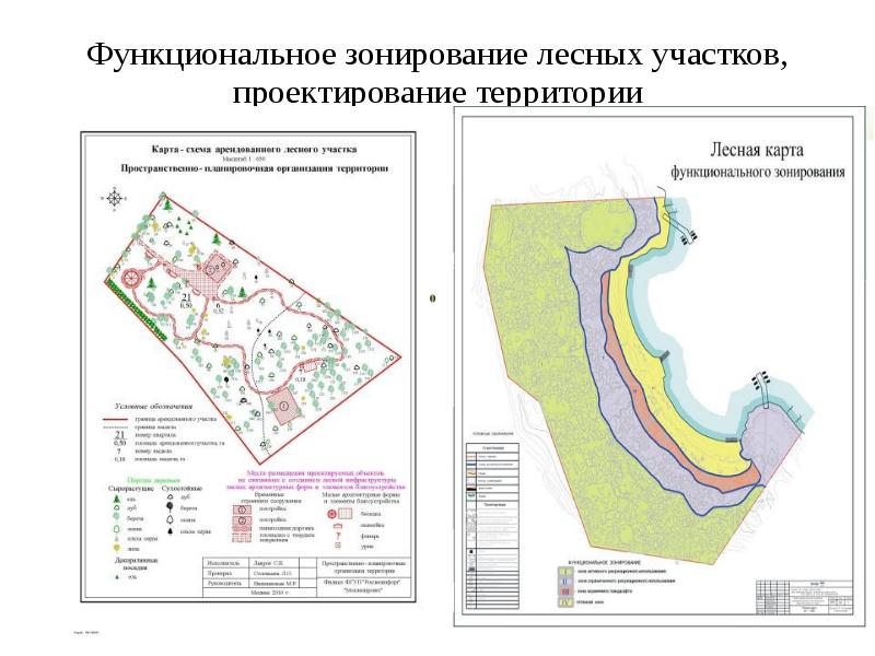 Пол проект освоения лесов