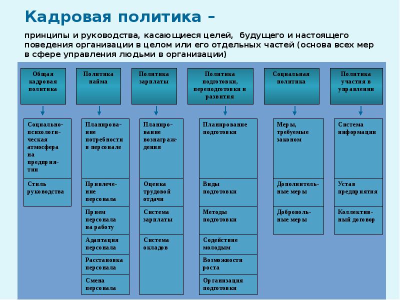 Разделы психологии презентация