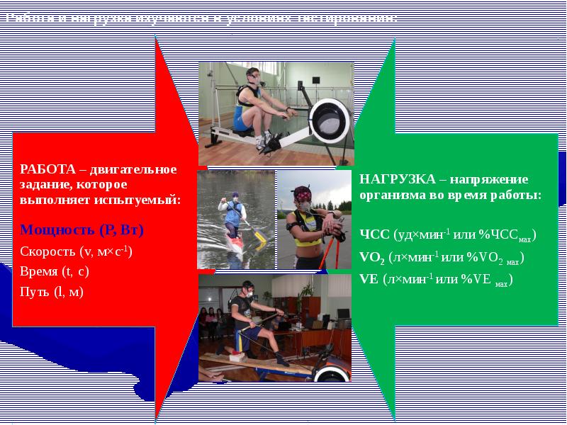 Здоровье и физическая работоспособность