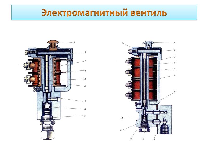 Эв г с