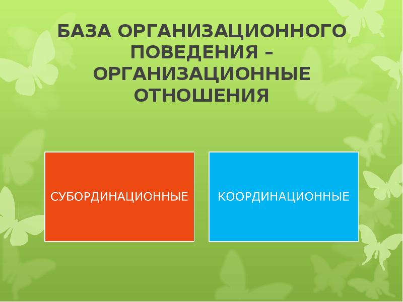 Индивидуальное поведение. Субординационные и координационные.