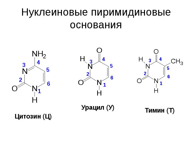 Содержит урацил