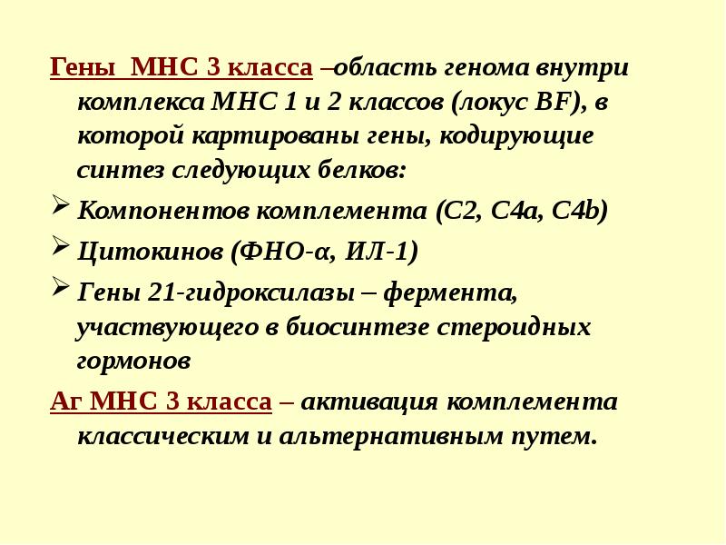 Ген кодирует синтез. МНС 3 класса иммунология. Гены МНС 1 класс. Гены MHC. Гены 1 и 2 класса системы МНС.