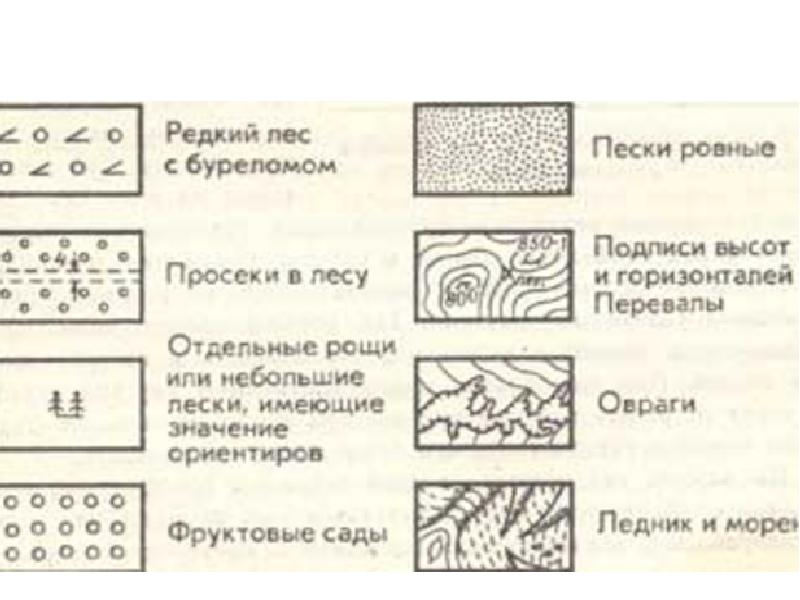 Топографические чертежи презентация