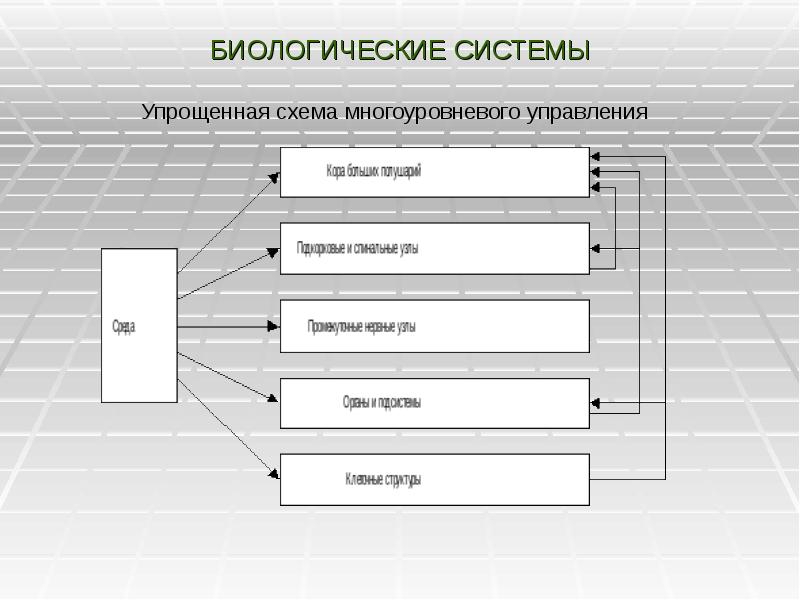 Схема биотехнической системы