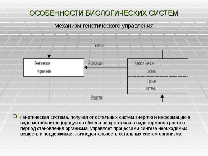 Биологическая система это. Особенности биологических систем. Управление в биологических системах. Системы управления в биологии. Схема управления в биологической системе.