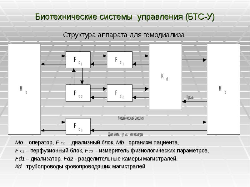 Схема биотехнической системы