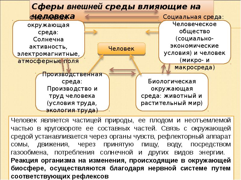 Человек является неотъемлемой частью общества