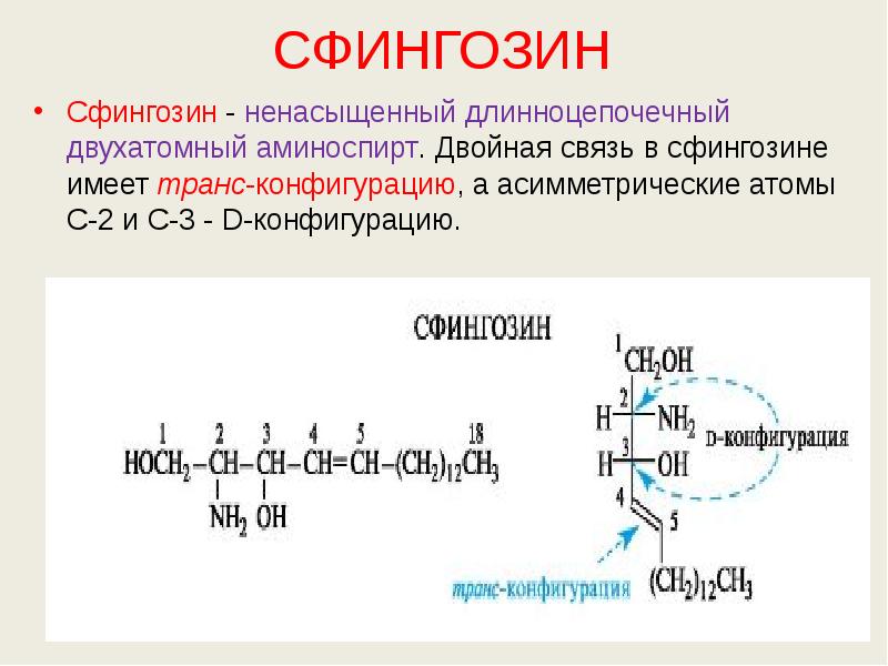СФИНГОЗИН Сфингозин - ненасыщенный длинноцепочечный двухатомный аминоспирт. Двойная связь в сфингозине