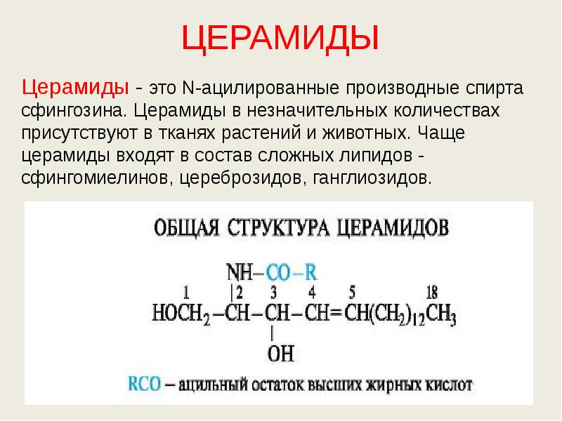 ЦЕРАМИДЫ Церамиды - это N-ацилированные производные спирта сфингозина. Церамиды в незначительных