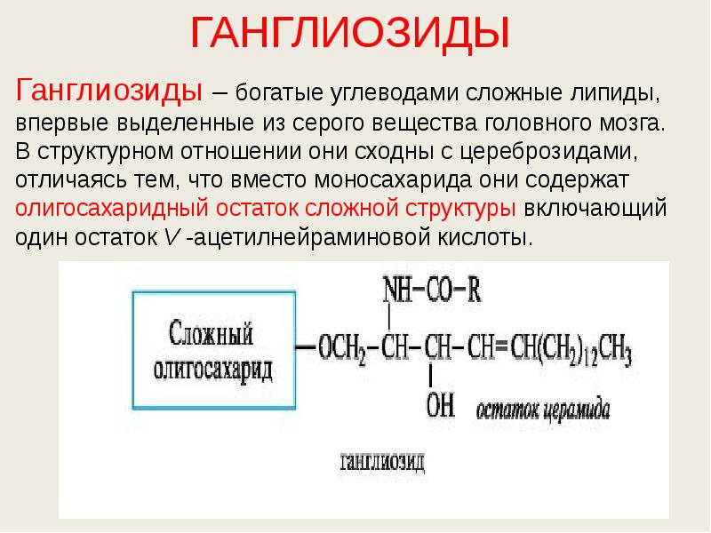 ГАНГЛИОЗИДЫ  Ганглиозиды – богатые углеводами сложные липиды, впервые выделенные из