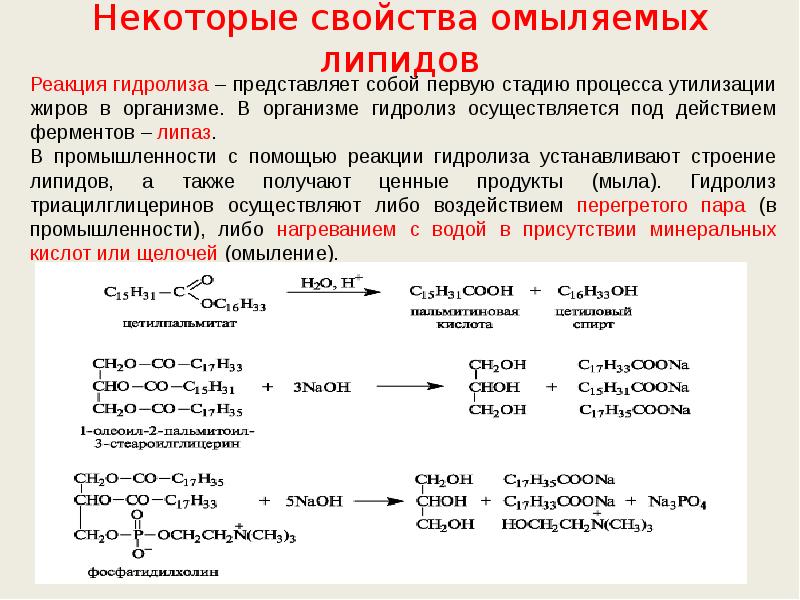 Липиды химия презентация