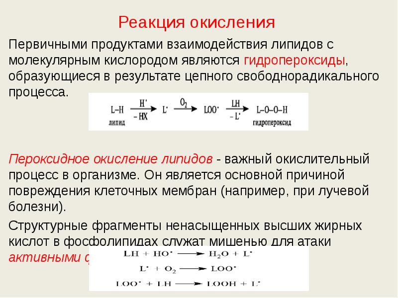 Реакция окисления Первичными продуктами взаимодействия липидов с молекулярным кислородом являются гидропероксиды,
