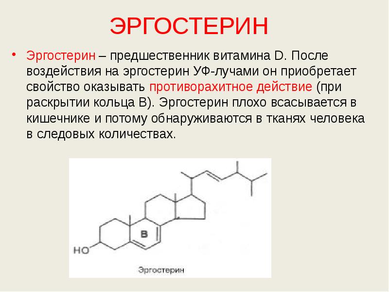 ЭРГОСТЕРИН Эргостерин – предшественник витамина D. После воздействия на эргостерин УФ-лучами