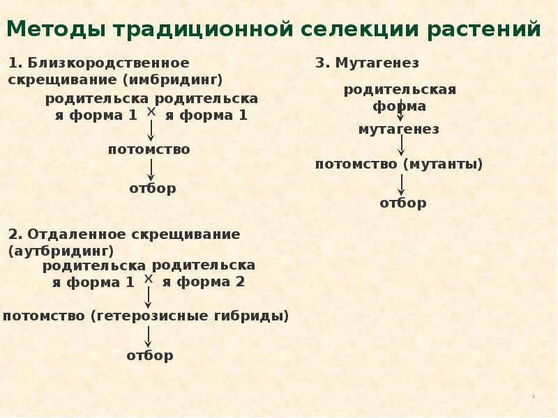 К методам классической селекции относятся