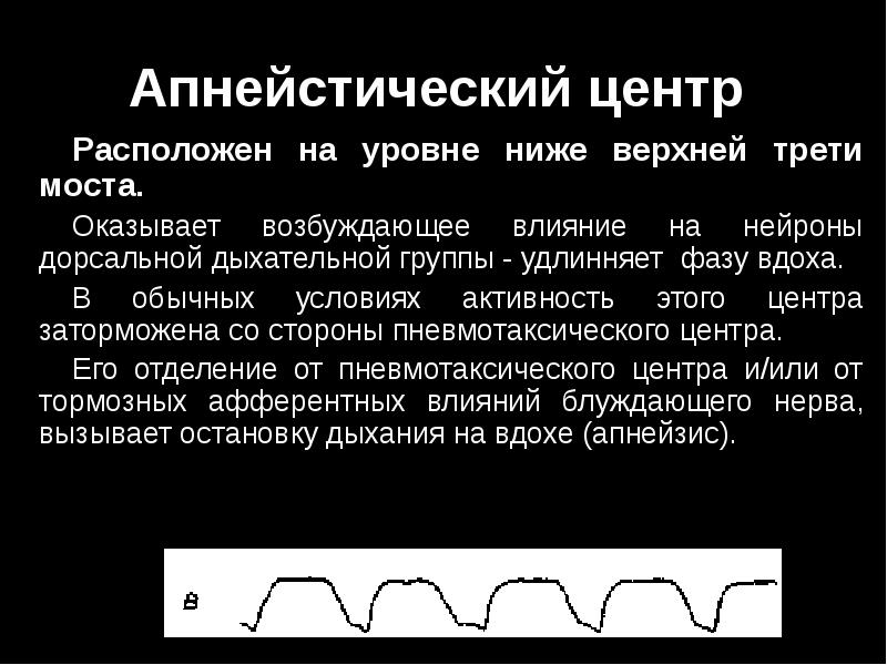 Апнейстическое дыхание рисунок