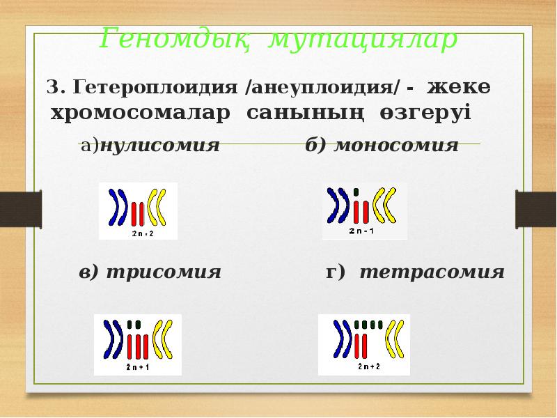 Геномдық мутациялар
3. Гетероплоидия /анеуплоидия/ - жеке хромосомалар санының өзгеруі
Геномдық мутациялар
3. Гетероплоидия /анеуплоидия/ - жеке хромосомалар санының өзгеруі
