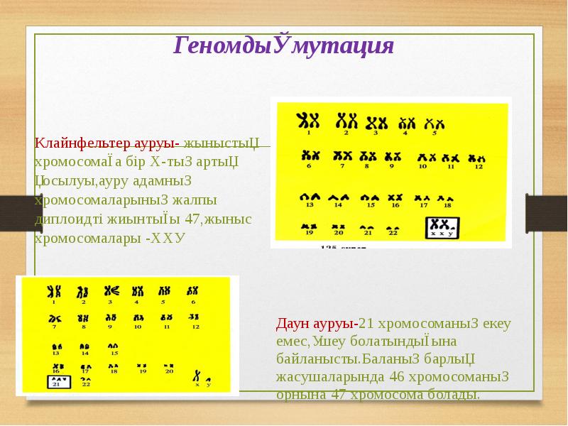 Геномдық мутация
Клайнфельтер ауруы- жыныстық хромосомаға бір Х-тың артық қосылуы,ауру адамның Геномдық мутация
Клайнфельтер ауруы- жыныстық хромосомаға бір Х-тың артық қосылуы,ауру адамның