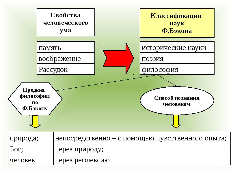 Основные знания человека. Классификация наук ф. Бэкона.. Классификация наук по Бэкону. Классификация наук по ф. Бэкону.. Классификация наук в философии.