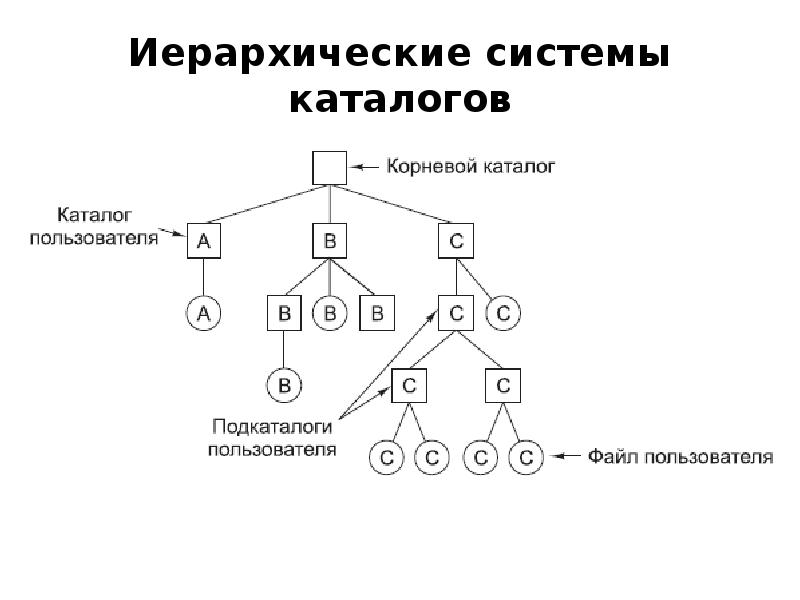 Иерархическая система деятельности. Иерархическая файловая структура схема. Иерархия каталогов и файловых систем. Иерархическое дерево каталогов.