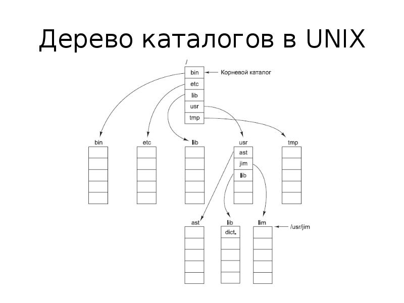 Дерево каталогов. Дерево каталогов Unix. Файловая система Unix. Типы файловых систем Unix. Корневая файловая система Unix.