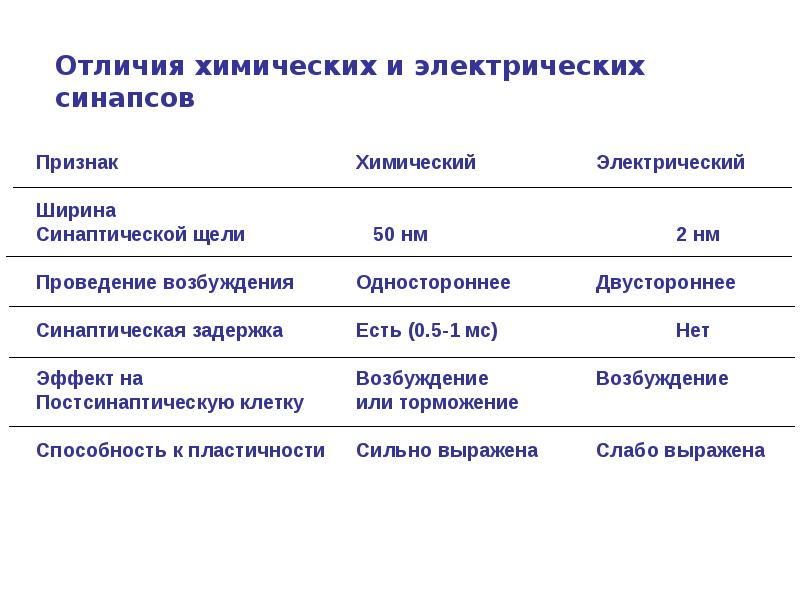 Установите соответствие виды синапсов