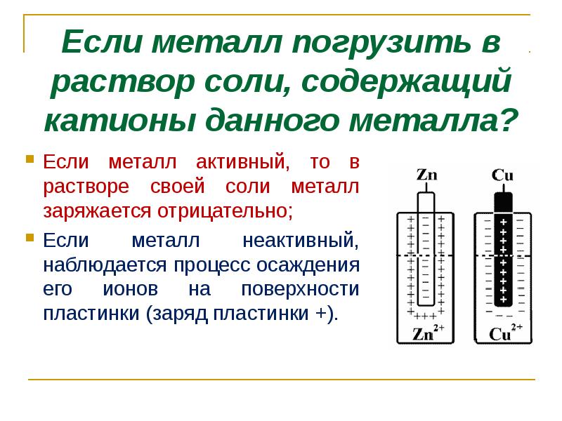 Раствор соли металла. Неактивный металл в растворе. Биороль электродного потенциала. Катионы неактивных металлов. Биороль электродного потенциала активного металла.