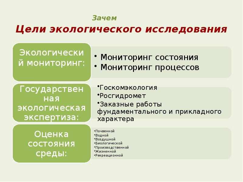 Типовой план экологических исследований